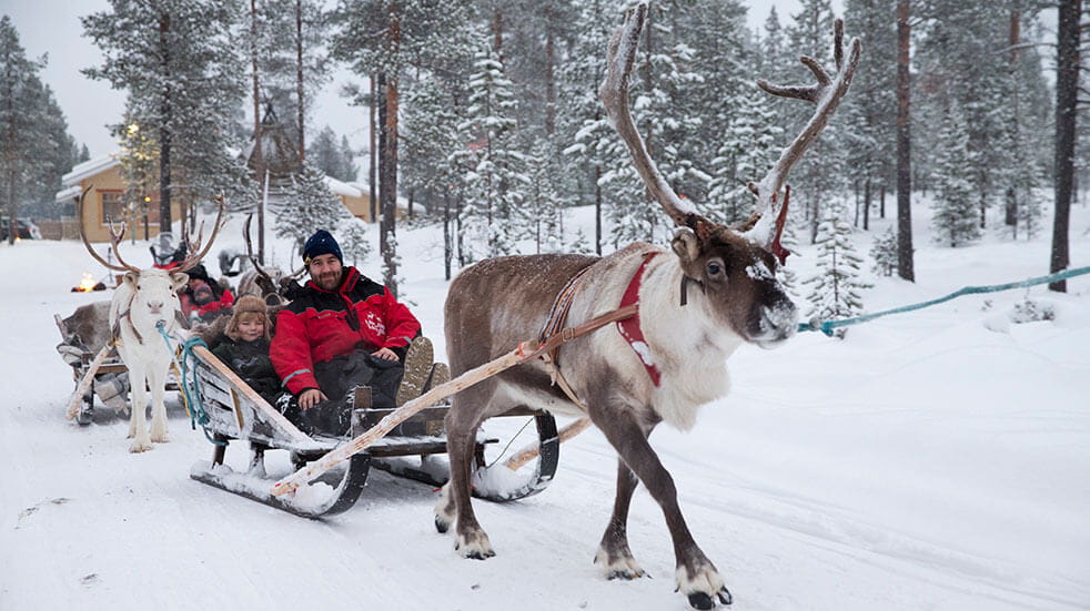 Santa's Lapland: reindeer sleigh ride 